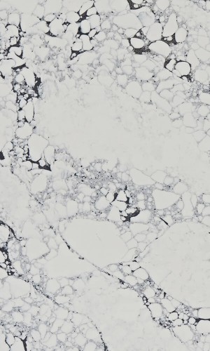 Arabescato Vagli Quartz Worktops - Sample