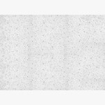 Artemistone - Bianco Stellar Quatz