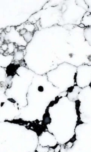 Noblestone - Arabescato Black